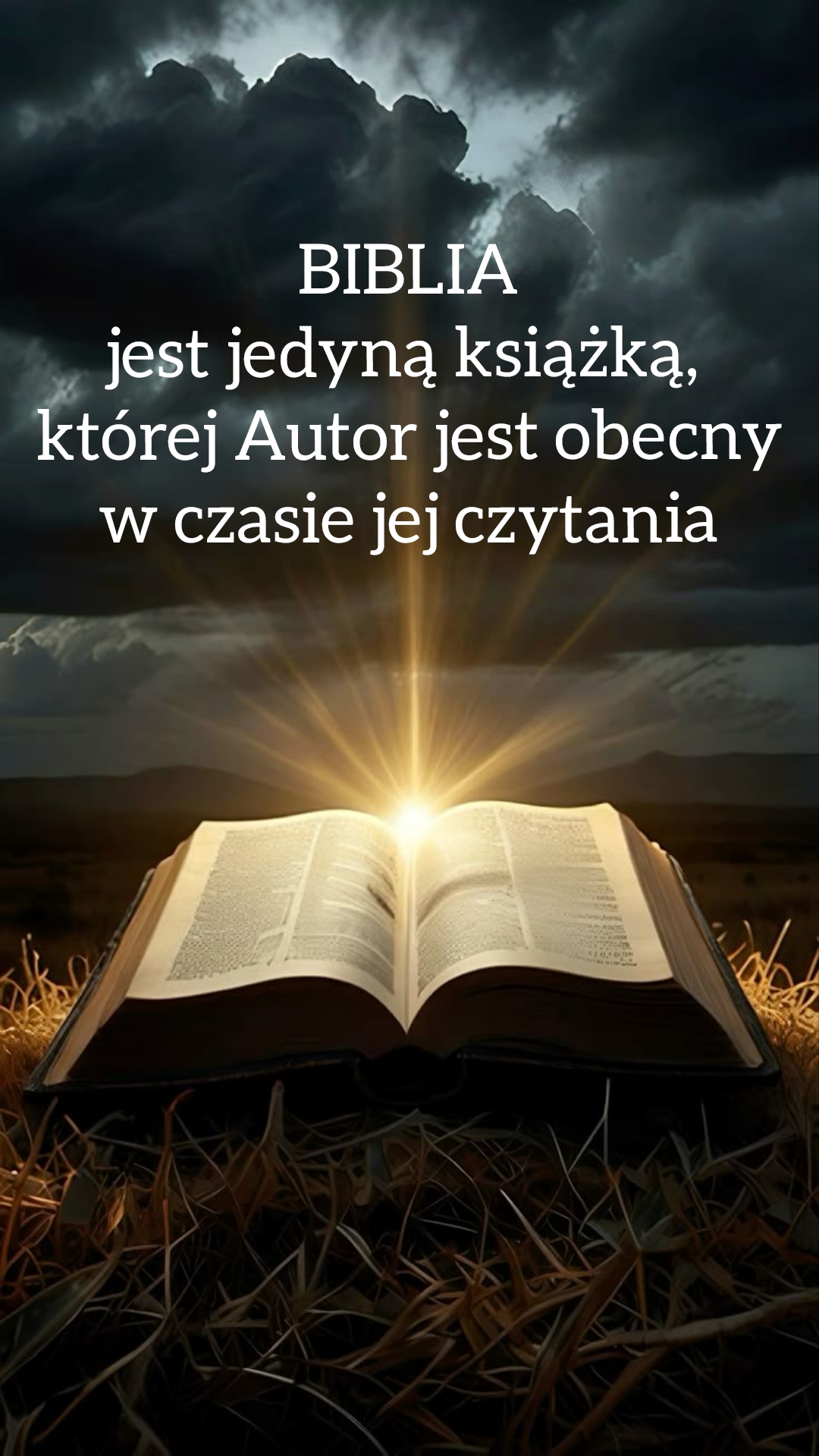 Polish 20260417 113137331